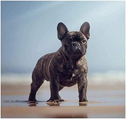 Französische Bulldogge Puzzle 300 Teile für Erwachsene Dekompressionsspielzeug Geschenk Dekorative Gemälde Familienspiel 38x26CM Französische Bulldogge Puzzle 300 Teile für Erwachsene Dekompressionsspielzeug Geschenk Dekorative Gemälde Familienspiel 38x26CM von AFHMZ