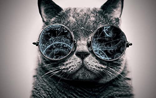 Papery Puzzle 200 Teile Geheimnisvolle Katze mit Brille Personalisiertes Puzzle 35x25CM Papery Puzzle 200 Teile Geheimnisvolle Katze mit Brille Personalisiertes Puzzle 35x25CM von AFHMZ