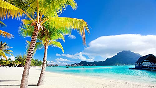 Papery Puzzle 300 Teile Hawaiianisches Seestück-Puzzle Tolles Puzzlespiel für Erwachsene 38x26CM Papery Puzzle 300 Teile Hawaiianisches Seestück-Puzzle Tolles Puzzlespiel für Erwachsene 38x26CM von AFHMZ