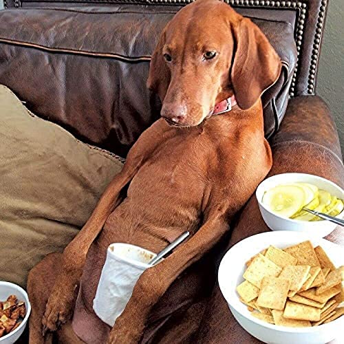 Papierpuzzle 300 Teile, Hund, Ungarischer Vizsla, Sofa, Snacks, lustige Hundeliebhaber, stabile, Enge Beschläge, Schulbedarf, Puzzle, Premium-Papierpuzzle, Spielzeug, DIY-Lernspiel, 38 x 26 cm Papierpuzzle 300 Teile, Hund, Ungarischer Vizsla, Sofa, Snacks, lustige Hundeliebhaber, stabile, Enge Beschläge, Schulbedarf, Puzzle, Premium-Papierpuzzle, Spielzeug, DIY-Lernspiel, 38 x 26 cm von AFHMZ
