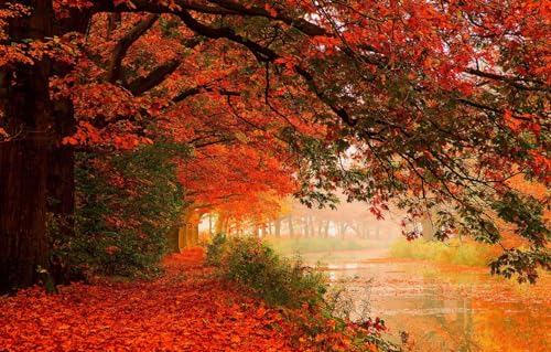 Personalisiertes Holzpuzzle 1000 Teile für Erwachsene vom Foto nach Maß – Gestalten Sie Ihre eigenen Bildgeschenke, Bäume 70x100CM von AFHMZ