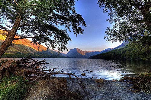 Puzzle, England, Lake Buttermere, Cumbria, Natur, Baumstumpf, Küste, Großbritannien, wunderschöne natürliche und menschliche Landschaften, 300 Teile, 38 x 26 cm Puzzle, England, Lake Buttermere, Cumbria, Natur, Baumstumpf, Küste, Großbritannien, wunderschöne natürliche und menschliche Landschaften, 300 Teile, 38 x 26 cm von AFHMZ