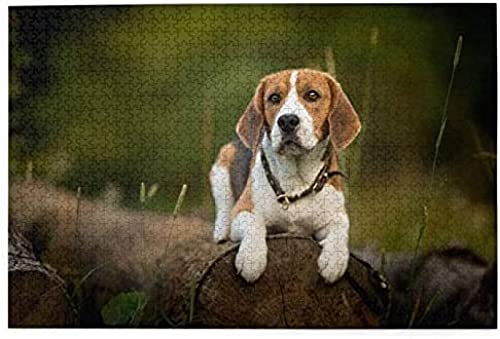 Puzzle 100 Teile Beagle Forest Bokeh Hunde Haustiere Beagle Papierpuzzle Spielzeug Familienspiel Wanddekoration Für Erwachsene Teenager 45,5x35,5CM Puzzle 100 Teile Beagle Forest Bokeh Hunde Haustiere Beagle Papierpuzzle Spielzeug Familienspiel Wanddekoration Für Erwachsene Teenager 45,5x35,5CM von AFHMZ