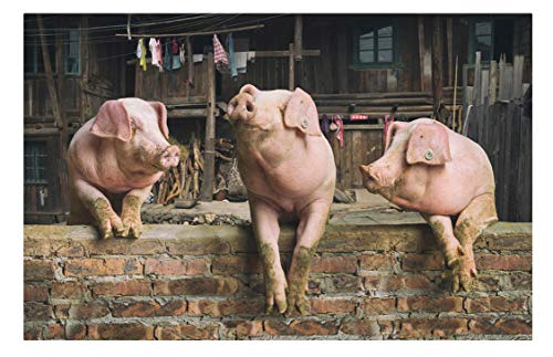 Puzzle 100 Teile DREI Schweine Lernspielzeug Für Erwachsene Zur Freizeitunterhaltung Für Kinder Weihnachten 45,5 x 35,5CM von AFHMZ