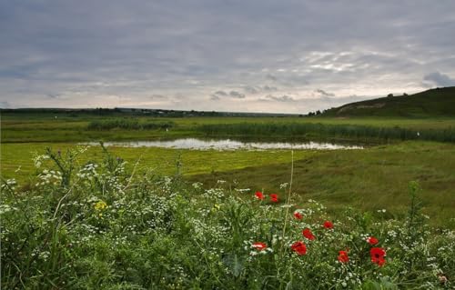 Puzzle 100 Teile Landschaft Puzzles für Erwachsene 100 Teile Natur, Wiese 45,5x35,5CM Puzzle 100 Teile Landschaft Puzzles für Erwachsene 100 Teile Natur, Wiese 45,5x35,5CM von AFHMZ