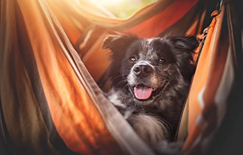 Puzzle 100 Teile Mädchen Hund 45,5x35,5CM Puzzle 100 Teile Mädchen Hund 45,5x35,5CM von AFHMZ