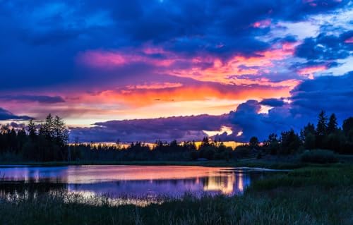 Puzzle 100 Teile für Erwachsene - 100 Teile Puzzle für Erwachsene ganze Familie und das Puzzle, Bäume, Landschaft 45,5x35,5CM Puzzle 100 Teile für Erwachsene - 100 Teile Puzzle für Erwachsene ganze Familie und das Puzzle, Bäume, Landschaft 45,5x35,5CM von AFHMZ