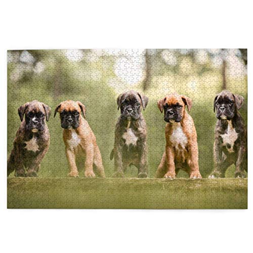 Puzzle 1000 Teile, Boxerhundewelpen, Haustiere, Familienhunde, Puzzlespielzeug, Familienspiel, Wanddekoration für Erwachsene und Jugendliche, 52 x 38 cm Puzzle 1000 Teile, Boxerhundewelpen, Haustiere, Familienhunde, Puzzlespielzeug, Familienspiel, Wanddekoration für Erwachsene und Jugendliche, 52 x 38 cm von AFHMZ