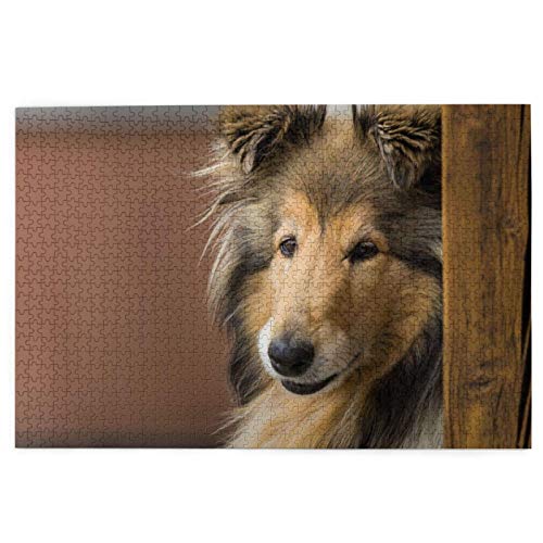 Puzzle 1000 Teile, Rauer Collie, Lassie-Hund, große, Flauschige Hunde, Haustiere, Puzzlespielzeug, Familienspiel, Wanddekoration für Erwachsene und Jugendliche, 70 x 50 cm Puzzle 1000 Teile, Rauer Collie, Lassie-Hund, große, Flauschige Hunde, Haustiere, Puzzlespielzeug, Familienspiel, Wanddekoration für Erwachsene und Jugendliche, 70 x 50 cm von AFHMZ