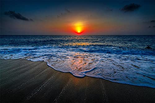 Puzzle 1000 Teile, Strand, Himmel, Sonnenuntergang, für Kinder und Erwachsene, Lernspielzeug, 70 x 50 cm Puzzle 1000 Teile, Strand, Himmel, Sonnenuntergang, für Kinder und Erwachsene, Lernspielzeug, 70 x 50 cm von AFHMZ