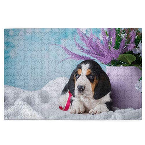 Puzzle 1000 Teile Basset Hounds-Welpe, Geschenk, Haustiere, Kleiner Basset, Puzzlespielzeug, Familienspiel, Wanddekoration für Erwachsene und Jugendliche, 38 x 26 cm Puzzle 1000 Teile Basset Hounds-Welpe, Geschenk, Haustiere, Kleiner Basset, Puzzlespielzeug, Familienspiel, Wanddekoration für Erwachsene und Jugendliche, 38 x 26 cm von AFHMZ