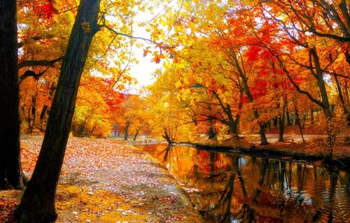 Puzzle 1000 Teile Landschaftspuzzle für Erwachsene 1000 Teile Natur, Bäume, Berge, Park 70x100CM Puzzle 1000 Teile Landschaftspuzzle für Erwachsene 1000 Teile Natur, Bäume, Berge, Park 70x100CM von AFHMZ