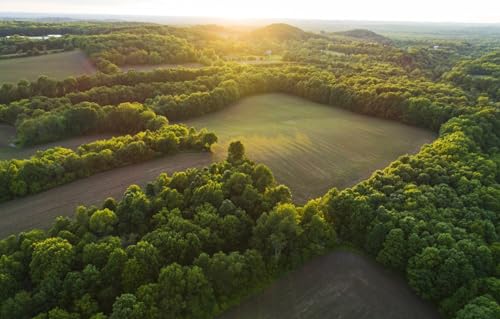 Puzzle 1000 Teile für Erwachsene | 1000-teiliges Puzzle, Lernspiele, Heimdekorationspuzzle, Landschaft, 38 x 26 cm Puzzle 1000 Teile für Erwachsene | 1000-teiliges Puzzle, Lernspiele, Heimdekorationspuzzle, Landschaft, 38 x 26 cm von AFHMZ