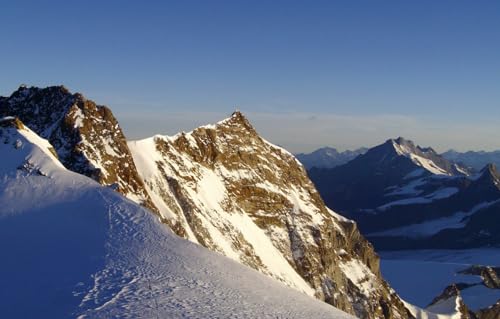 Puzzle 1000 Teile für Erwachsene | 1000-teiliges Puzzle, Lernspiele, Heimdekorationspuzzle, Schnee, Berge, Felsen, Frost, 70 x 50 cm von AFHMZ