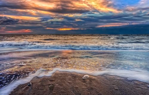 Puzzle 1000 Teile für Erwachsene | 1000-teiliges Puzzle, Lernspiele, Heimdekorationspuzzle, Strand, Landschaft, Ozean, 52 x 38 cm Puzzle 1000 Teile für Erwachsene | 1000-teiliges Puzzle, Lernspiele, Heimdekorationspuzzle, Strand, Landschaft, Ozean, 52 x 38 cm von AFHMZ