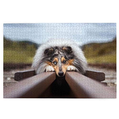 Puzzle 200 Teile, Rauer Collie, Bokeh, Eisenbahnhunde, Haustiere, Raues Puzzle, Spielzeug, Familienspiel, Wanddekoration für Erwachsene und Jugendliche, 35 x 25 cm Puzzle 200 Teile, Rauer Collie, Bokeh, Eisenbahnhunde, Haustiere, Raues Puzzle, Spielzeug, Familienspiel, Wanddekoration für Erwachsene und Jugendliche, 35 x 25 cm von AFHMZ