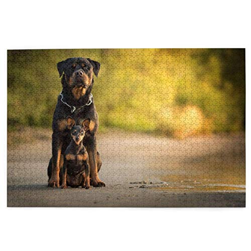 Puzzle 200 Teile, Rottweiler, Schwarze Hunde, Zwergpinscher, Puzzlespielzeug, Familienspiel, Wanddekoration für Erwachsene und Jugendliche, 35 x 25 cm Puzzle 200 Teile, Rottweiler, Schwarze Hunde, Zwergpinscher, Puzzlespielzeug, Familienspiel, Wanddekoration für Erwachsene und Jugendliche, 35 x 25 cm von AFHMZ