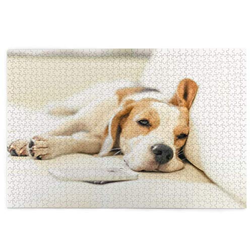 Puzzle 2000 Teile, Beagle, schlafende Hunde, Haustiere, Hunde, Welpen, Beagle, Puzzlespielzeug, Familienspiel, Wanddekoration für Erwachsene und Jugendliche, 70 x 100 cm Puzzle 2000 Teile, Beagle, schlafende Hunde, Haustiere, Hunde, Welpen, Beagle, Puzzlespielzeug, Familienspiel, Wanddekoration für Erwachsene und Jugendliche, 70 x 100 cm von AFHMZ