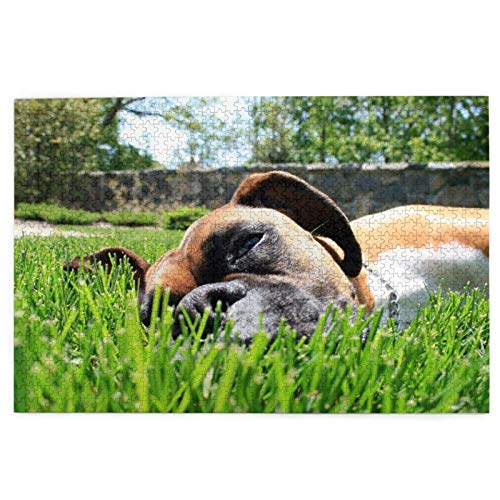 Puzzle 2000 Teile, Boxerhunde, grünes Gras, Haustiere, Rasenhunde, Puzzlespielzeug, Familienspiel, Wanddekoration für Erwachsene und Jugendliche, 100 x 70 cm Puzzle 2000 Teile, Boxerhunde, grünes Gras, Haustiere, Rasenhunde, Puzzlespielzeug, Familienspiel, Wanddekoration für Erwachsene und Jugendliche, 100 x 70 cm von AFHMZ