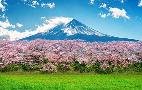 Puzzle 2000 Teile, Fuji-Pink-Sakura-Frühlingslandschaft, individuelles Puzzle 100 x 70 cm Puzzle 2000 Teile, Fuji-Pink-Sakura-Frühlingslandschaft, individuelles Puzzle 100 x 70 cm von AFHMZ