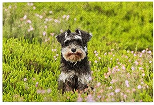 Puzzle 2000 Teile, Zwergschnauzer, Rasenhaustiere, grünes Gras, Papierpuzzle, Spielzeug, Familienspiel, Wanddekoration für Erwachsene und Teenager, 70 x 100 cm Puzzle 2000 Teile, Zwergschnauzer, Rasenhaustiere, grünes Gras, Papierpuzzle, Spielzeug, Familienspiel, Wanddekoration für Erwachsene und Teenager, 70 x 100 cm von AFHMZ