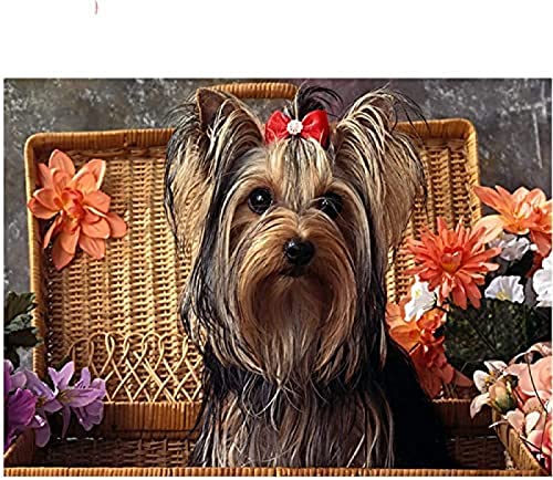 Puzzle 2000 Teile/Yorkshire Terrier/Unmögliches Puzzle für Erwachsene und Kinder, Empfohlen für Erwachsene und Kinder zur Interaktion, DIY-Spiel, Geschenkgröße 70 x 100 cm von AFHMZ