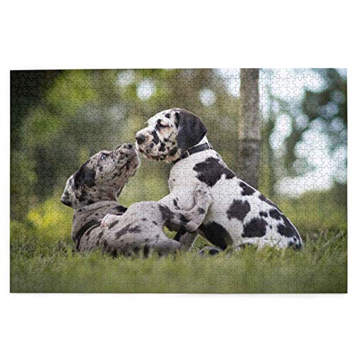 Puzzle 2000 Teile Dalmatiner Kleine Welpen Süße Hunde Haustiere Puzzle Spielzeug Familienspiel Wanddekoration für Erwachsene Teenager 70x100CM Puzzle 2000 Teile Dalmatiner Kleine Welpen Süße Hunde Haustiere Puzzle Spielzeug Familienspiel Wanddekoration für Erwachsene Teenager 70x100CM von AFHMZ