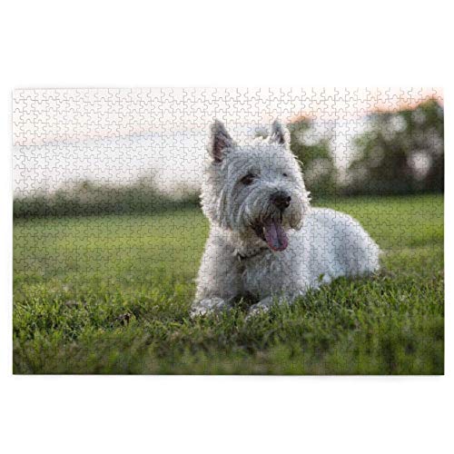 Puzzle 2000 Teile Westie Lawn West Highland White Terrier Hunde Puzzle Spielzeug Familienspiel Wanddekoration für Erwachsene Teenager 70x100CM Puzzle 2000 Teile Westie Lawn West Highland White Terrier Hunde Puzzle Spielzeug Familienspiel Wanddekoration für Erwachsene Teenager 70x100CM von AFHMZ