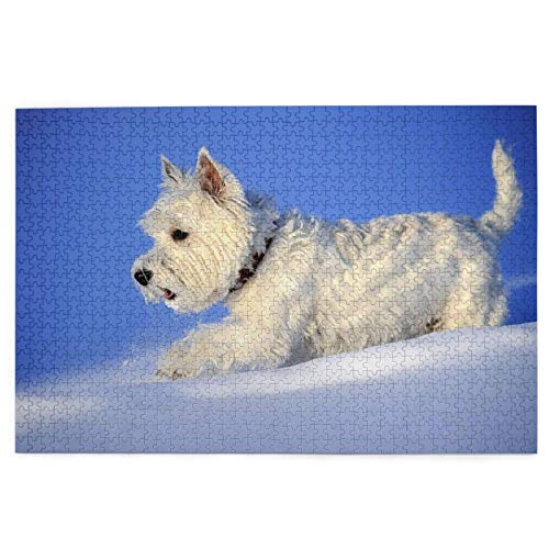 Puzzle 2000 Teile Westie Winter West Highland White Terrier Hunde Puzzle Spielzeug Familienspiel Wanddekoration für Erwachsene Teenager 70x100CM Puzzle 2000 Teile Westie Winter West Highland White Terrier Hunde Puzzle Spielzeug Familienspiel Wanddekoration für Erwachsene Teenager 70x100CM von AFHMZ