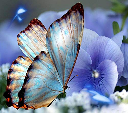 Puzzle 300 Teile für Erwachsene, Papierpuzzle, 3D-Puzzle, Schmetterlinge und Blumen, DIY-Lernpuzzle, Weihnachts-Wohnkultur-Geschenk, 38 x 26 cm Puzzle 300 Teile für Erwachsene, Papierpuzzle, 3D-Puzzle, Schmetterlinge und Blumen, DIY-Lernpuzzle, Weihnachts-Wohnkultur-Geschenk, 38 x 26 cm von AFHMZ