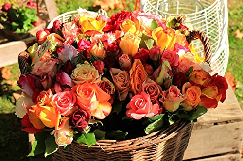 Puzzle 300 Teile für Erwachsene und Kinder, Korb mit Rosen, Puzzles, Lernspiel für Erwachsene und Kinder, Stressabbau-Spielzeug, 38 x 26 cm Puzzle 300 Teile für Erwachsene und Kinder, Korb mit Rosen, Puzzles, Lernspiel für Erwachsene und Kinder, Stressabbau-Spielzeug, 38 x 26 cm von AFHMZ