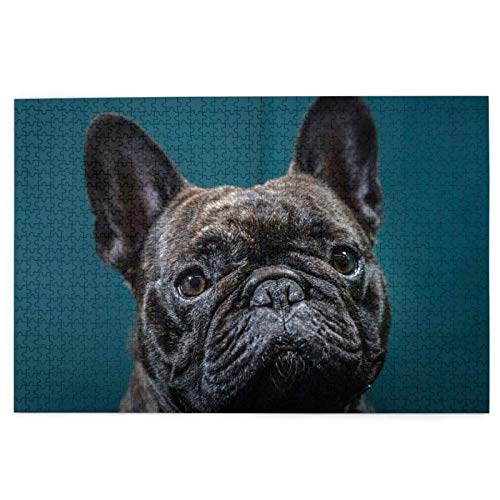 Puzzle 500 Teile Französische Bulldoggen, Haustiere, Hunde, Bulldoggen, Französisches Puzzle, Spielzeug, Familienspiel, Wanddekoration für Erwachsene und Jugendliche, 52 x 38 cm Puzzle 500 Teile Französische Bulldoggen, Haustiere, Hunde, Bulldoggen, Französisches Puzzle, Spielzeug, Familienspiel, Wanddekoration für Erwachsene und Jugendliche, 52 x 38 cm von AFHMZ
