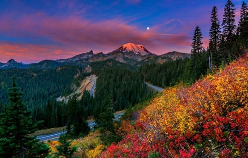 Puzzle 500 Teile für Erwachsene - 500 Teile Puzzle für Erwachsene ganze Familie und das Puzzle, Bäume, Berge, Park 52x38CM Puzzle 500 Teile für Erwachsene - 500 Teile Puzzle für Erwachsene ganze Familie und das Puzzle, Bäume, Berge, Park 52x38CM von AFHMZ