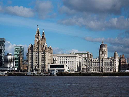 Puzzle Liverpool 100 Teile, Für Freunde 45,5x35,5CM von AFHMZ