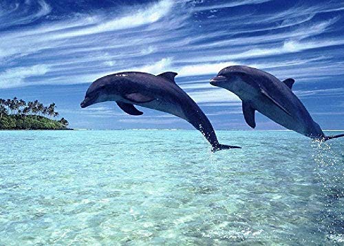 Puzzle-Spielzeug „Delfine“ für Erwachsene, 2000 Teile, Cooles und anspruchsvolles Puzzle, 100 x 70 cm Puzzle-Spielzeug „Delfine“ für Erwachsene, 2000 Teile, Cooles und anspruchsvolles Puzzle, 100 x 70 cm von AFHMZ