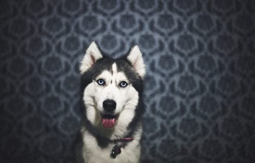 Puzzle Tiere Holz Erwachsene 1000 Teile Hund Husky 52x38CM Puzzle Tiere Holz Erwachsene 1000 Teile Hund Husky 52x38CM von AFHMZ