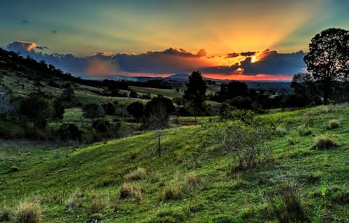 Puzzle aus Fotos, 300 Teile, für Erwachsene und Teenager, personalisiertes Puzzle, Bäume, Berge, 38 x 26 cm Puzzle aus Fotos, 300 Teile, für Erwachsene und Teenager, personalisiertes Puzzle, Bäume, Berge, 38 x 26 cm von AFHMZ