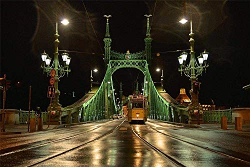 Puzzle für Erwachsene, 100 Teile, Nachtlichter der Stadt Budapest, anspruchsvolles Puzzlespiel, Geschenk, 100 Teile, 45,5 x 35,5 cm Puzzle für Erwachsene, 100 Teile, Nachtlichter der Stadt Budapest, anspruchsvolles Puzzlespiel, Geschenk, 100 Teile, 45,5 x 35,5 cm von AFHMZ