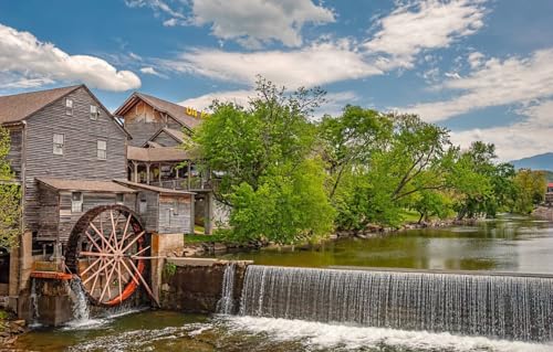 Puzzle für Erwachsene, 100 Teile, Puzzle 100 Teile für Erwachsene, Geschenke, Bäume, Rad, Wassermühle, 45,5 x 35,5 cm von AFHMZ