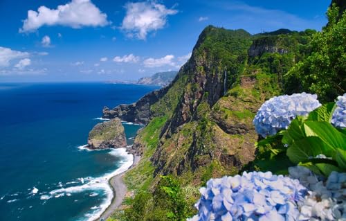 Puzzle für Erwachsene, 1000 Teile, Portugal, Madeira-Berge, Hortensien, Denksportaufgabe, Puzzlespiele, 70 x 50 cm von AFHMZ