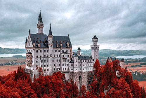Puzzle für Erwachsene, 1000 Teile, Schloss Neuschwanstein, Puzzlespiel für Erwachsene, Puzzlespiel für Teenager, Spielzeug, Geschenk, 1000 Teile, 70 x 50 cm Puzzle für Erwachsene, 1000 Teile, Schloss Neuschwanstein, Puzzlespiel für Erwachsene, Puzzlespiel für Teenager, Spielzeug, Geschenk, 1000 Teile, 70 x 50 cm von AFHMZ