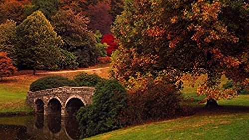 Puzzle für Erwachsene, 1000 Teile, Wilde Heimatstadt, Naturlandschaft, 70 x 50 cm von AFHMZ