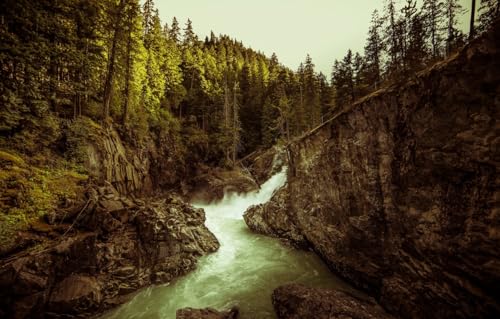 Puzzle für Erwachsene, 1000 Teile, klassisches Puzzle, DIY-Set, Holzspielzeug, einzigartiges Geschenk, Heimdekoration, Provinzpark, Nairn Falls, Landschaften, 70 x 50 cm Puzzle für Erwachsene, 1000 Teile, klassisches Puzzle, DIY-Set, Holzspielzeug, einzigartiges Geschenk, Heimdekoration, Provinzpark, Nairn Falls, Landschaften, 70 x 50 cm von AFHMZ