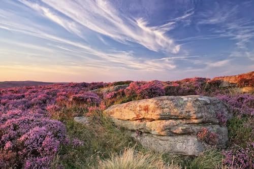 Puzzle für Erwachsene, 200 Teile, England, Peak District Nationalpark, Moorland, 35 x 25 cm Puzzle für Erwachsene, 200 Teile, England, Peak District Nationalpark, Moorland, 35 x 25 cm von AFHMZ