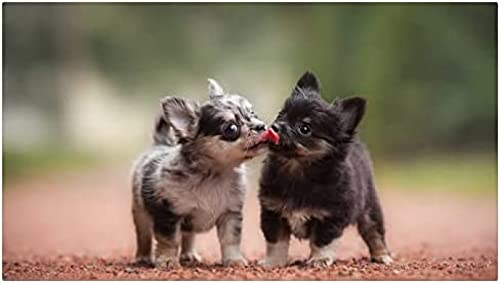 Puzzle für Erwachsene, 200 Teile, Holzpuzzle, Ölgemälde-Puzzle mit Husky-Schlittenhund, geeignet für Kinder über 12 Jahre, 35 x 25 cm Puzzle für Erwachsene, 200 Teile, Holzpuzzle, Ölgemälde-Puzzle mit Husky-Schlittenhund, geeignet für Kinder über 12 Jahre, 35 x 25 cm von AFHMZ