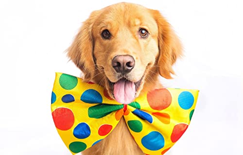 Puzzle für Erwachsene, 200 Teile, Hund, 35 x 25 cm Puzzle für Erwachsene, 200 Teile, Hund, 35 x 25 cm von AFHMZ