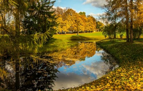 Puzzle für Erwachsene, 200 Teile, Puzzle für Erwachsene, Geschenke, Bäume, 35 x 25 cm Puzzle für Erwachsene, 200 Teile, Puzzle für Erwachsene, Geschenke, Bäume, 35 x 25 cm von AFHMZ