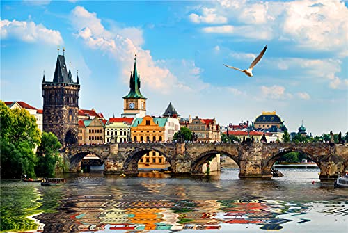 Puzzle für Erwachsene, 500 Teile, Schöne Aussicht auf Prag, anspruchsvolle Familienspiele, Heimdekorationsgeschenke, 52 x 38 cm von AFHMZ