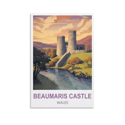 Puzzle für Erwachsene, Beaumaris Castle Wales, Papierpuzzle 1000 Teile, Spielzeug für Erwachsene, Dekompressionsspiel, 70 x 50 cm von AFHMZ