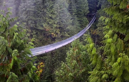 Puzzle für Erwachsene, Lernspiel, Herausforderungsspielzeug, 1000 Teile, Puzzle für Erwachsene und Kinder, Vancouver, Hängebrücke, Landschaften, 52 x 38 cm Puzzle für Erwachsene, Lernspiel, Herausforderungsspielzeug, 1000 Teile, Puzzle für Erwachsene und Kinder, Vancouver, Hängebrücke, Landschaften, 52 x 38 cm von AFHMZ